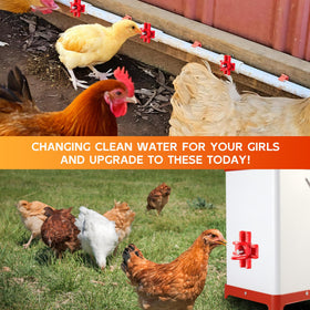 Hipykat leak-proof chick water dispenser prevents spills in the coop