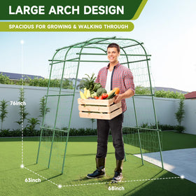 HIRALIY 63-inch arch frames a generous growing area for cucumbers and beans.