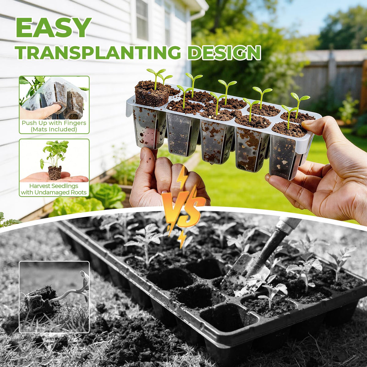 HIRALIY dome and base setup provides stable humidity around seedlings.