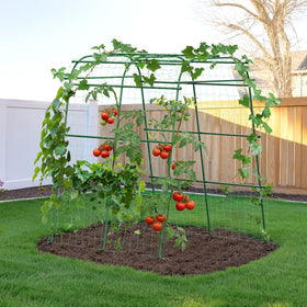 HIRALIY garden arch trellis assembly demonstrates quick setup for climbing plants and raised-bed gardens.