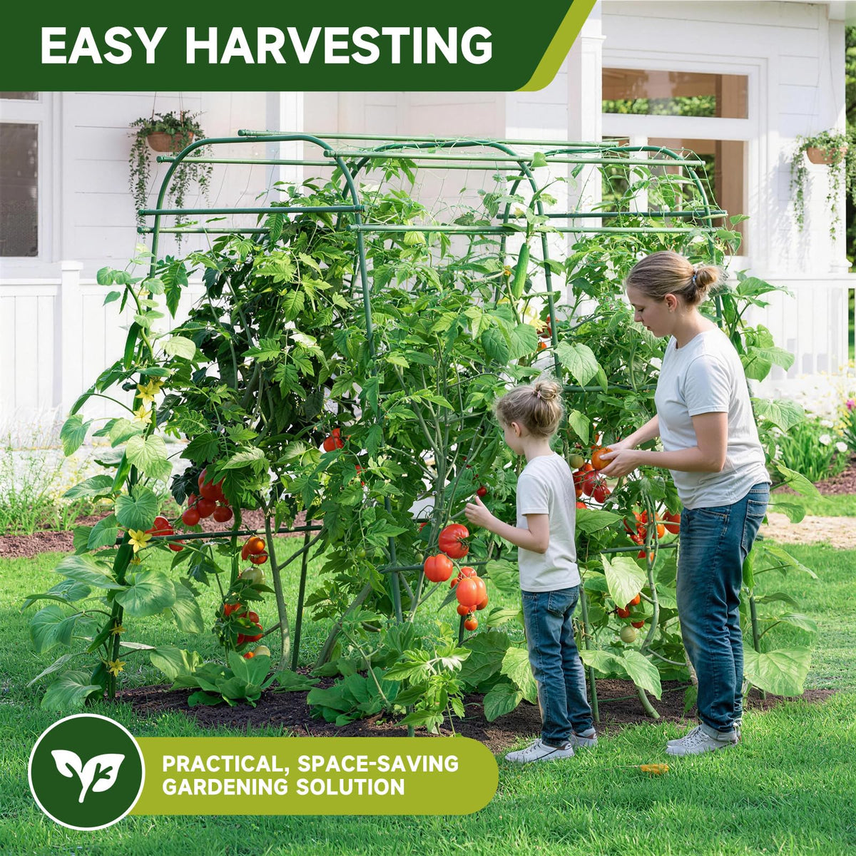 HIRALIY multi-purpose plant support complements tomatoes, grapes, and cucumbers with decorative garden appeal.