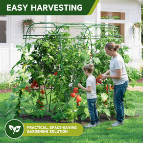 HIRALIY multi-purpose plant support complements tomatoes, grapes, and cucumbers with decorative garden appeal.