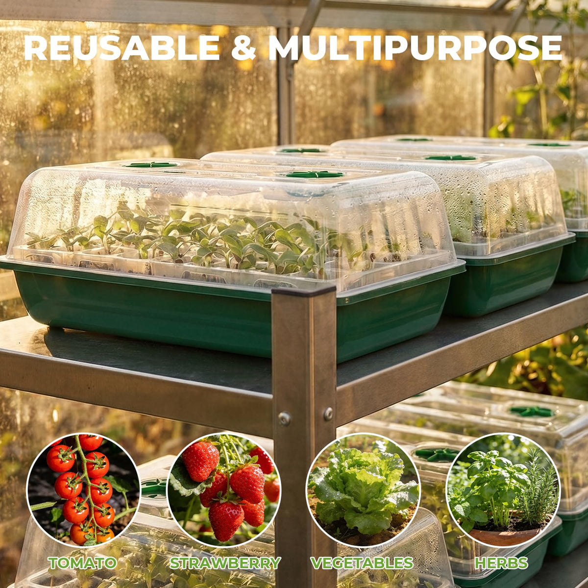 HIRALIY plant labels help organize seed varieties.