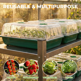 HIRALIY plant labels help organize seed varieties.