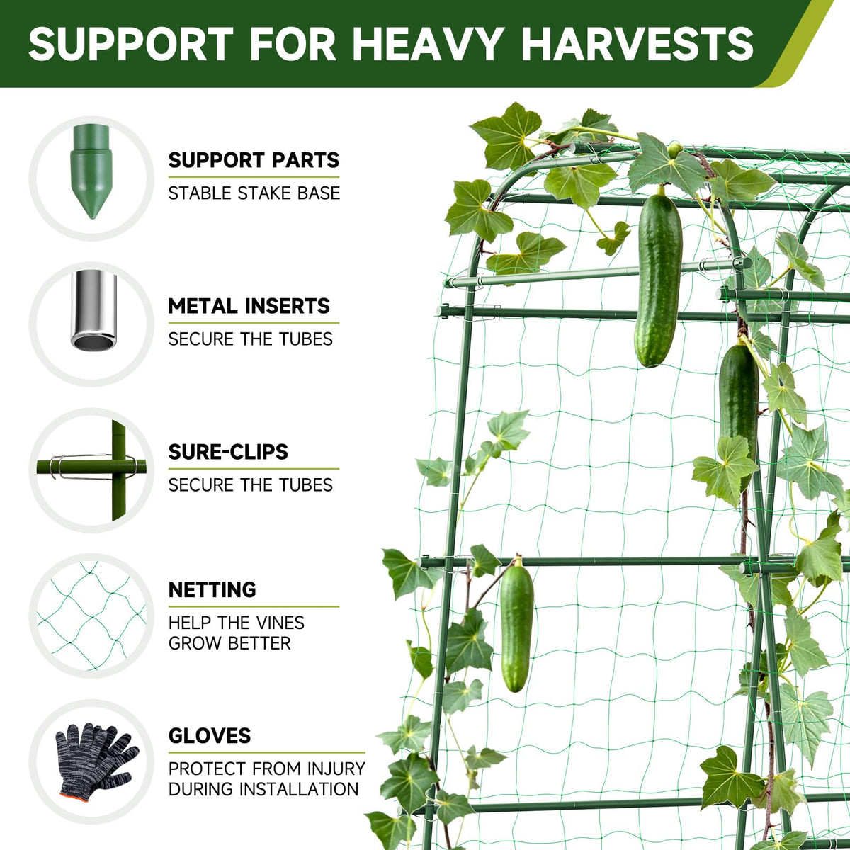 HIRALIY walk-through design enables easy access for harvesting and training.