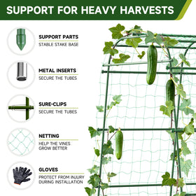 HIRALIY walk-through design enables easy access for harvesting and training.