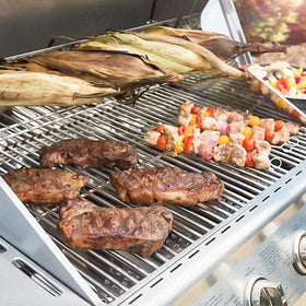Hisencn Nexgrill replacement kit; includes five heat plates and two grids.