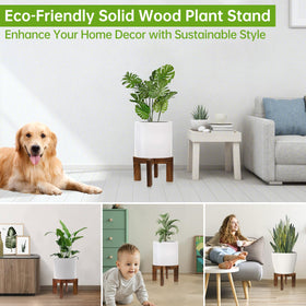 Hismocal indoor plant stand assembly demonstrates easy two-piece setup