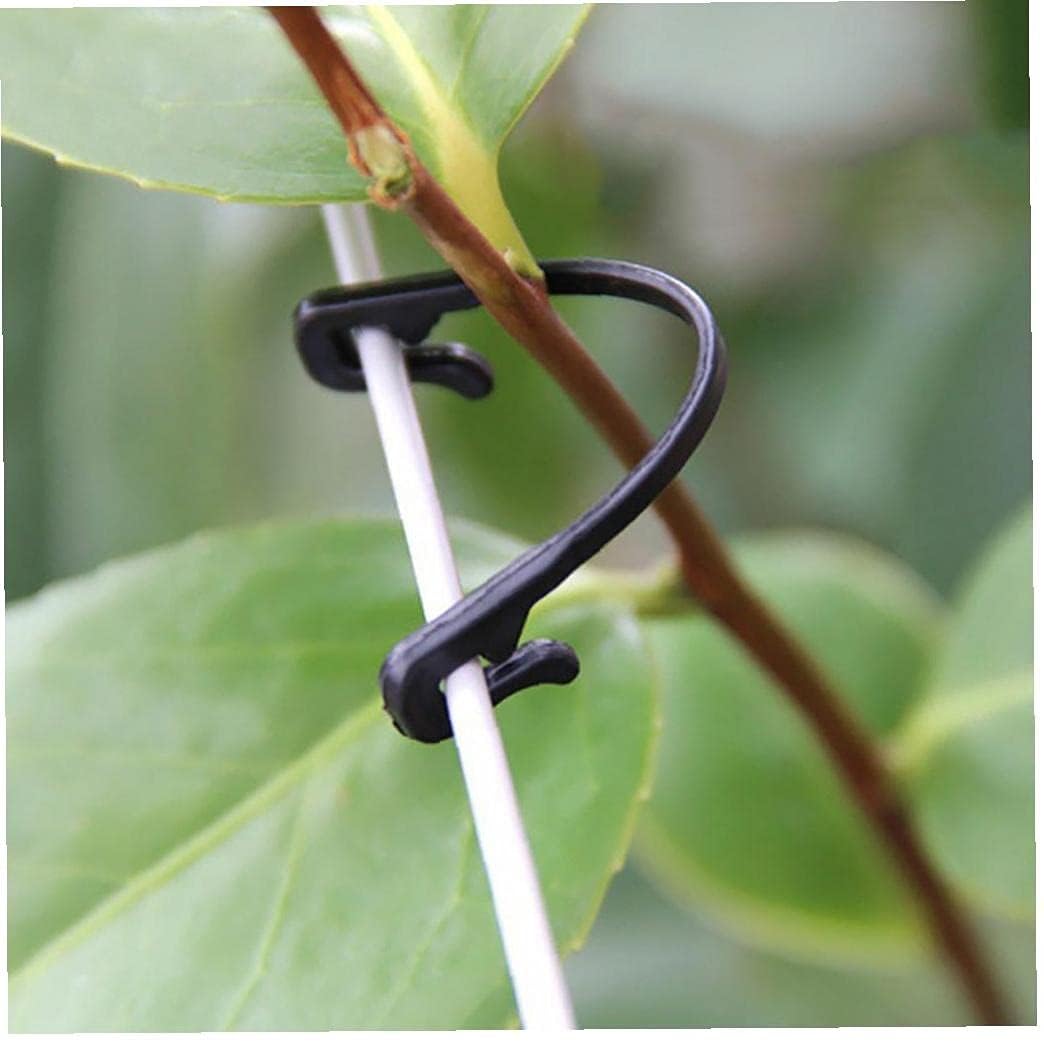 HiSpkNix grape vine trellis clip securing wires for stable training.