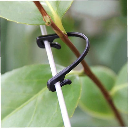 HiSpkNix grape vine trellis clip securing wires for stable training.