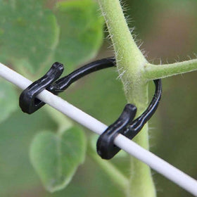 HiSpkNix raspberry cane clip supports quick setup in the garden.
