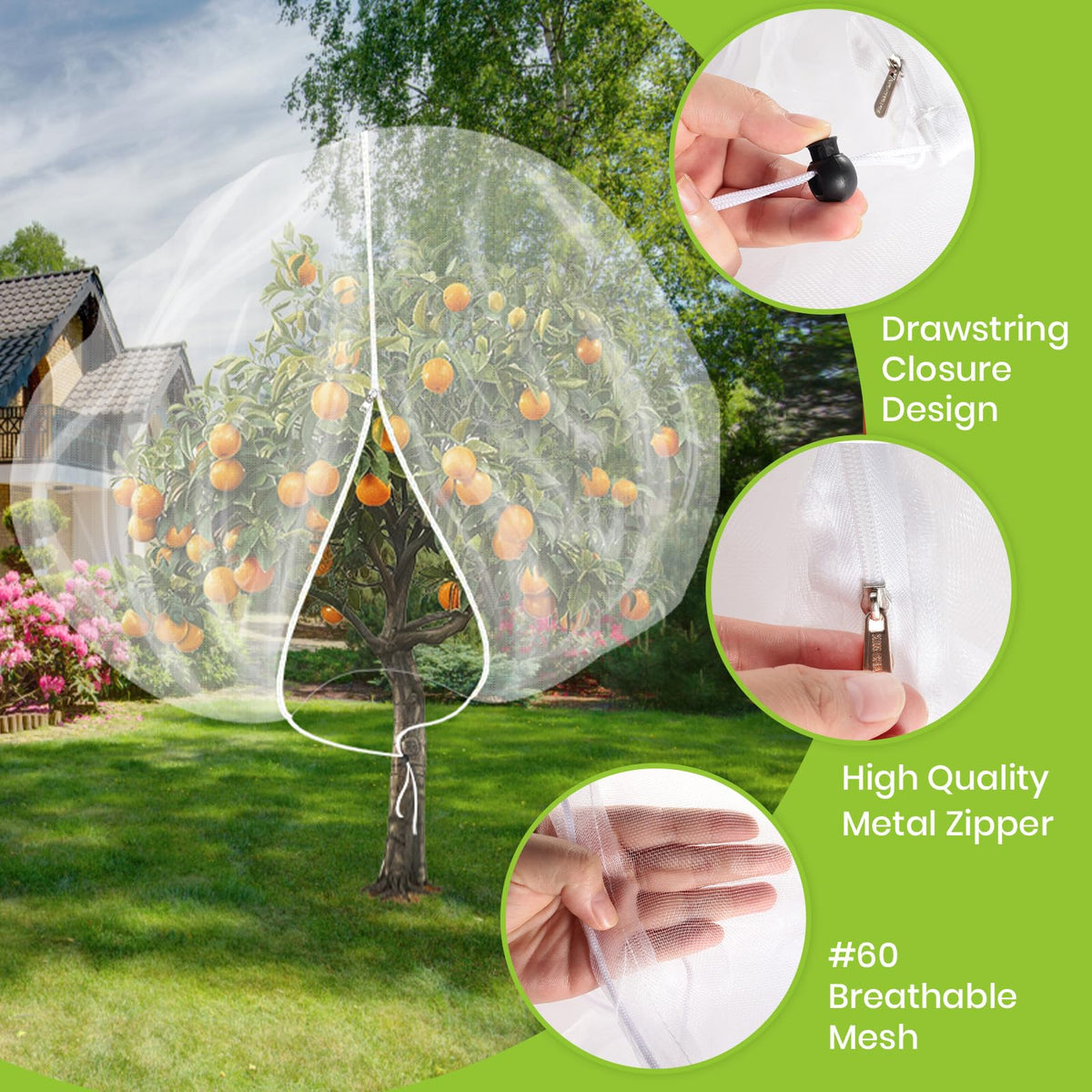 Histely adjustable rope and buckle ensure a snug fit for diverse plants.