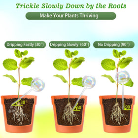Histely easy installation steps for quick setup