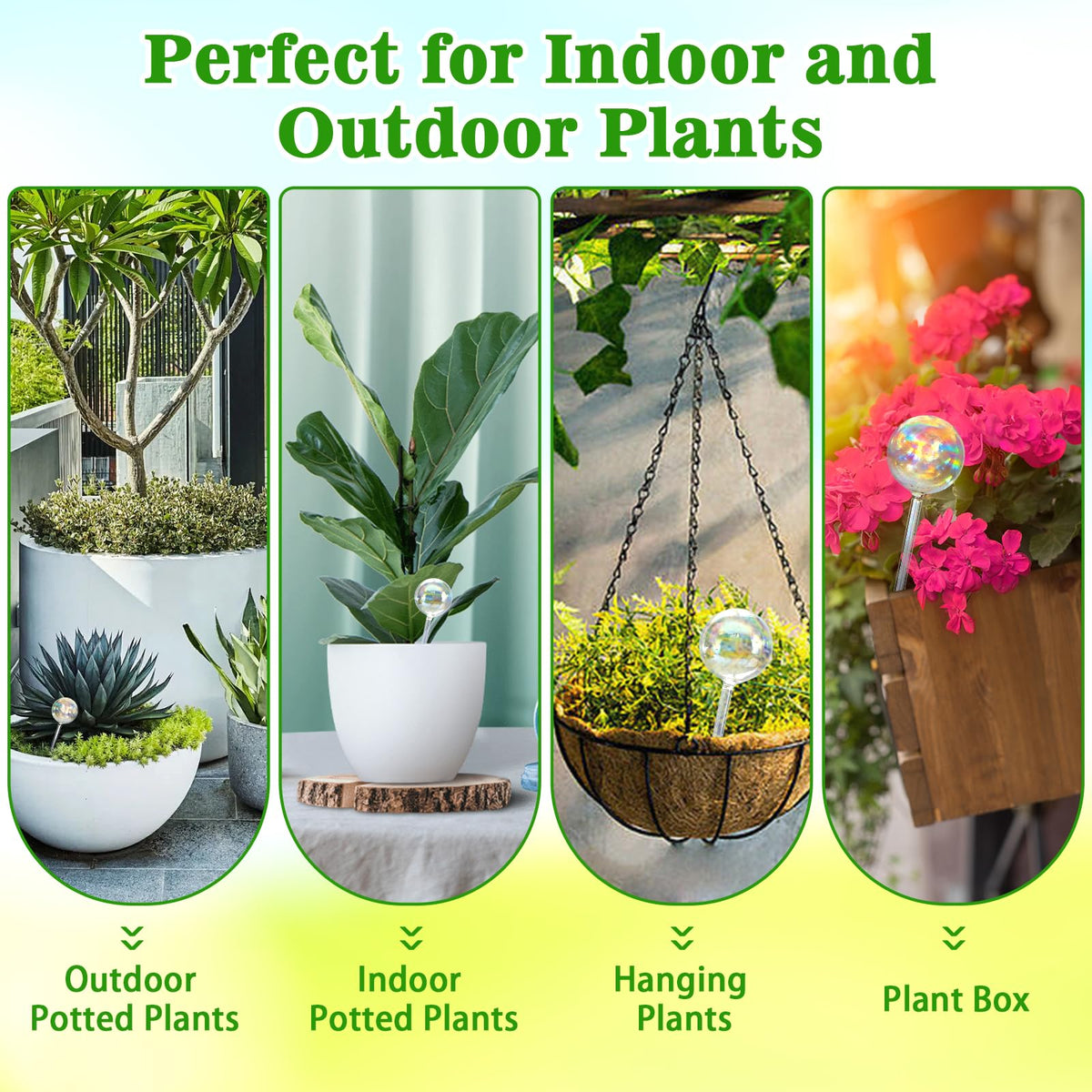 Histely indoor-outdoor plant decor that enhances home gardens