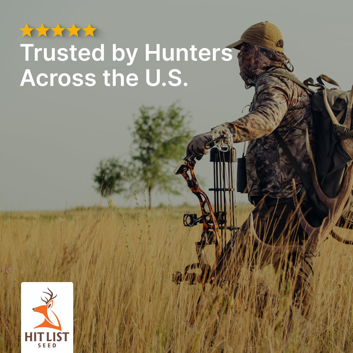 Hit List Seed 10-foot growth visual shows rapid maturation in 60 days
