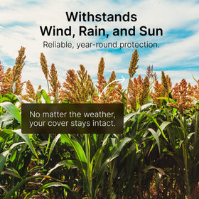 Hit List Seed Sorghum Sudangrass mix tall growth for rapid screening