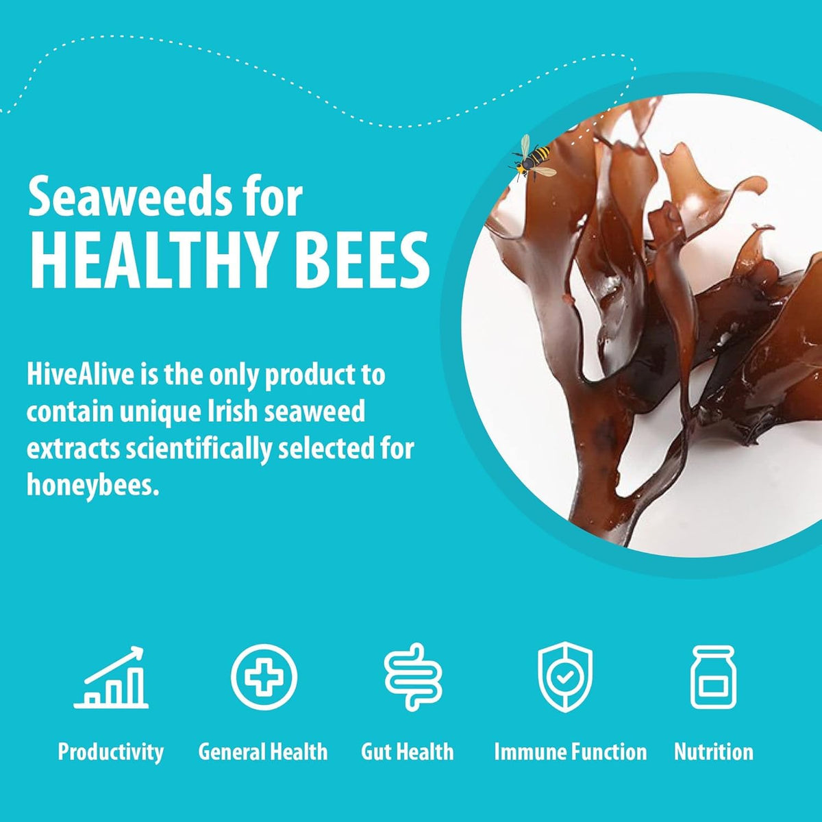 HIVE ALIVE overwintering colony health benefits for strong winter prep.