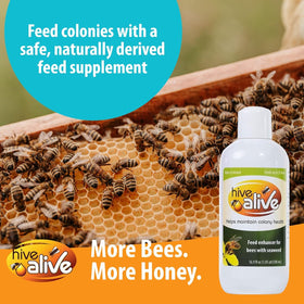 HIVE ALIVE fall spring feeding setup enhances colony stability.