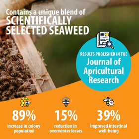 HIVE ALIVE Irish seaweed extracts boost immune function and gut health.