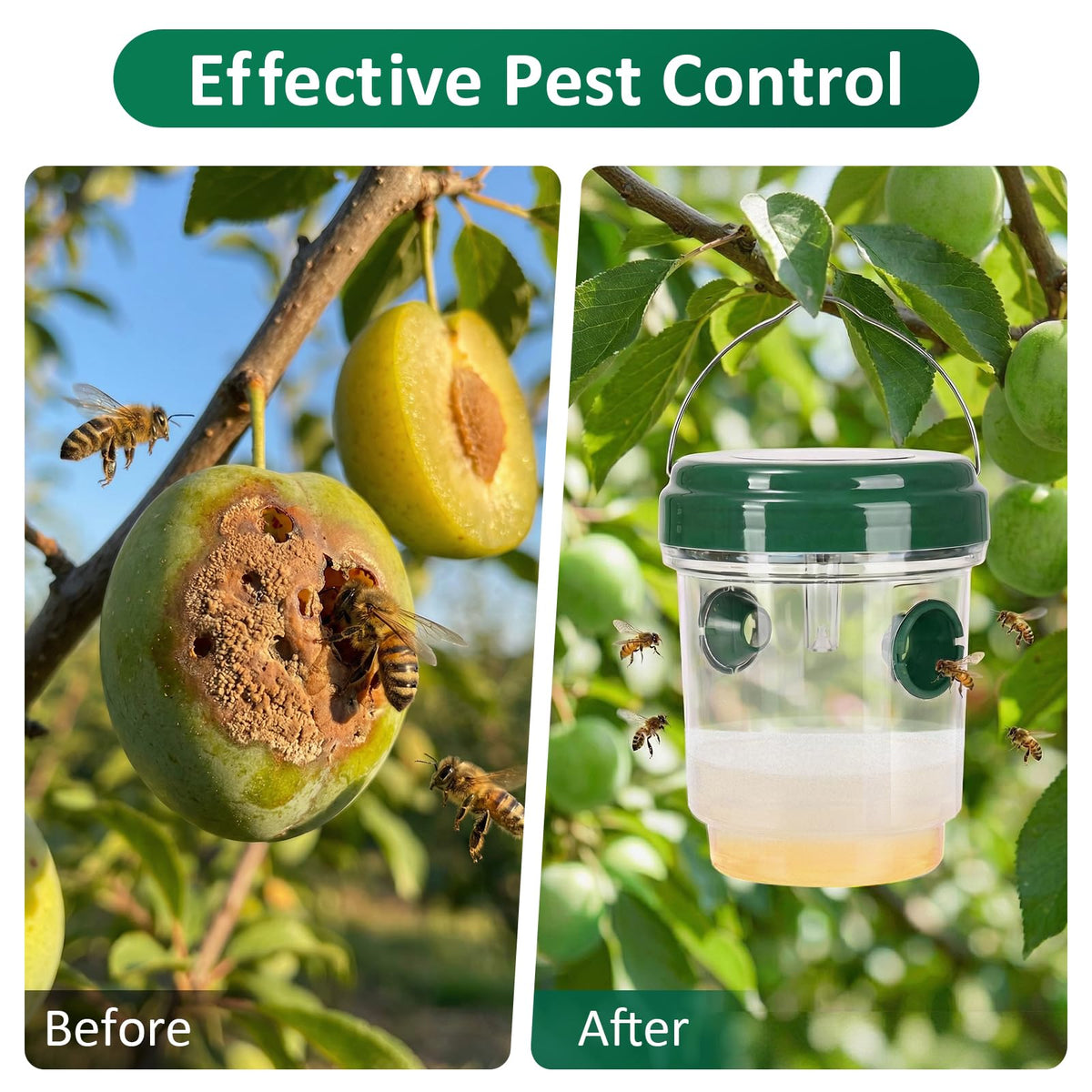 Eco-friendly product safe for children and pets.