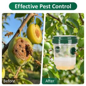 Eco-friendly product safe for children and pets.