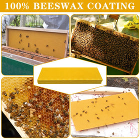 HiveSweet beeswax-coated foundation board, durable surface for reliable frames.