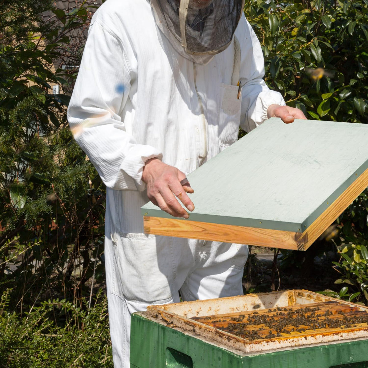 HiveSweet easy-install remove design simplifies seasonal checks for beekeepers.
