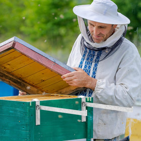HiveSweet beekeeping equipment essential for streamlined hive management.
