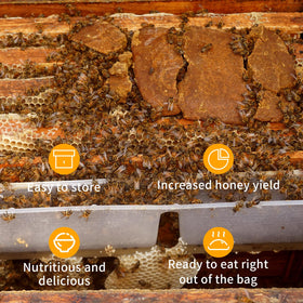 HiveSweet secure packaging ensures safe transport from warehouse