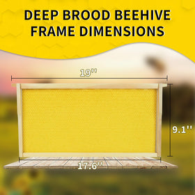 HiveSweet wax-coated foundations for natural comb drawing in brood frames.