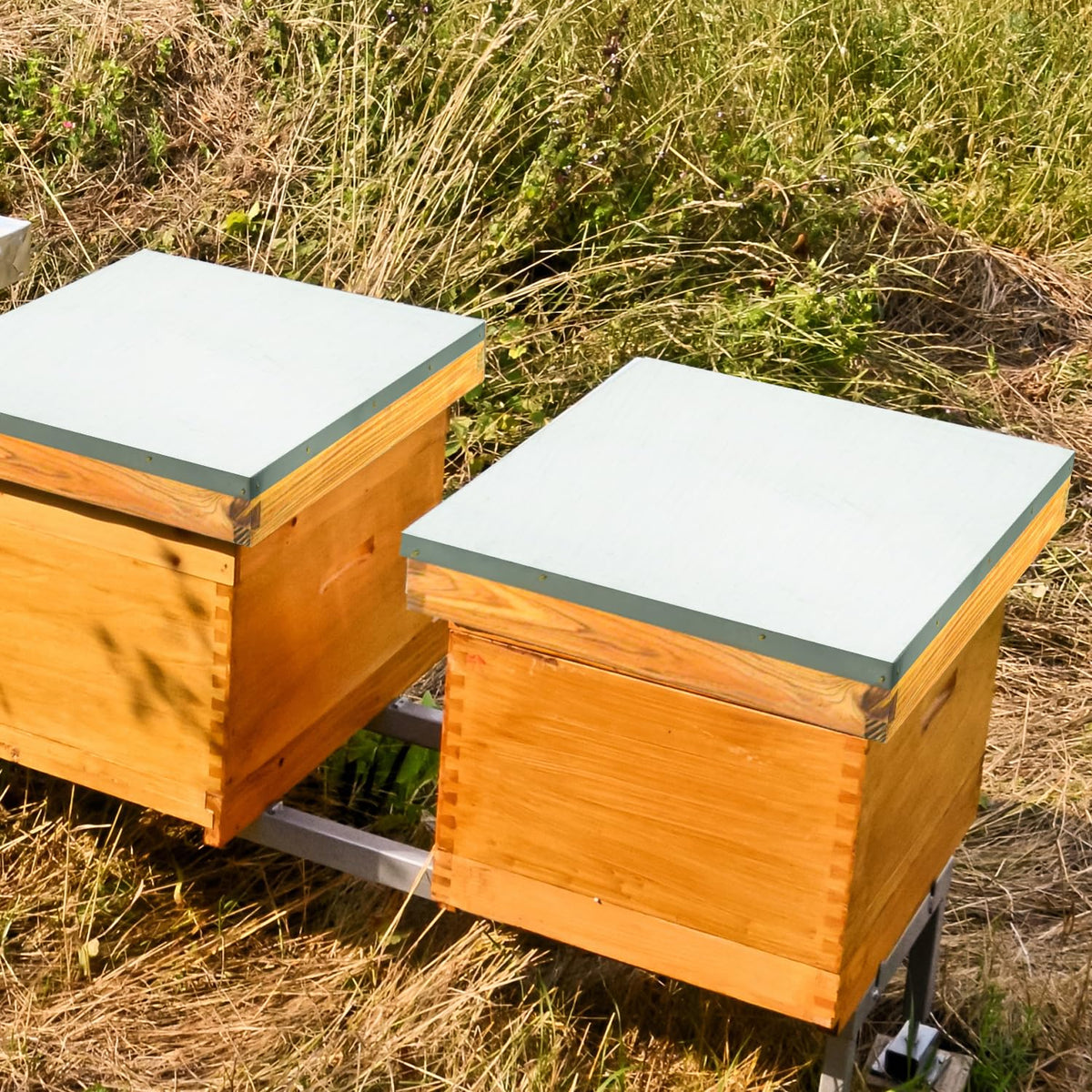 HiveSweet weatherproof construction guards hives in diverse outdoor conditions.