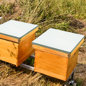 HiveSweet weatherproof construction guards hives in diverse outdoor conditions.