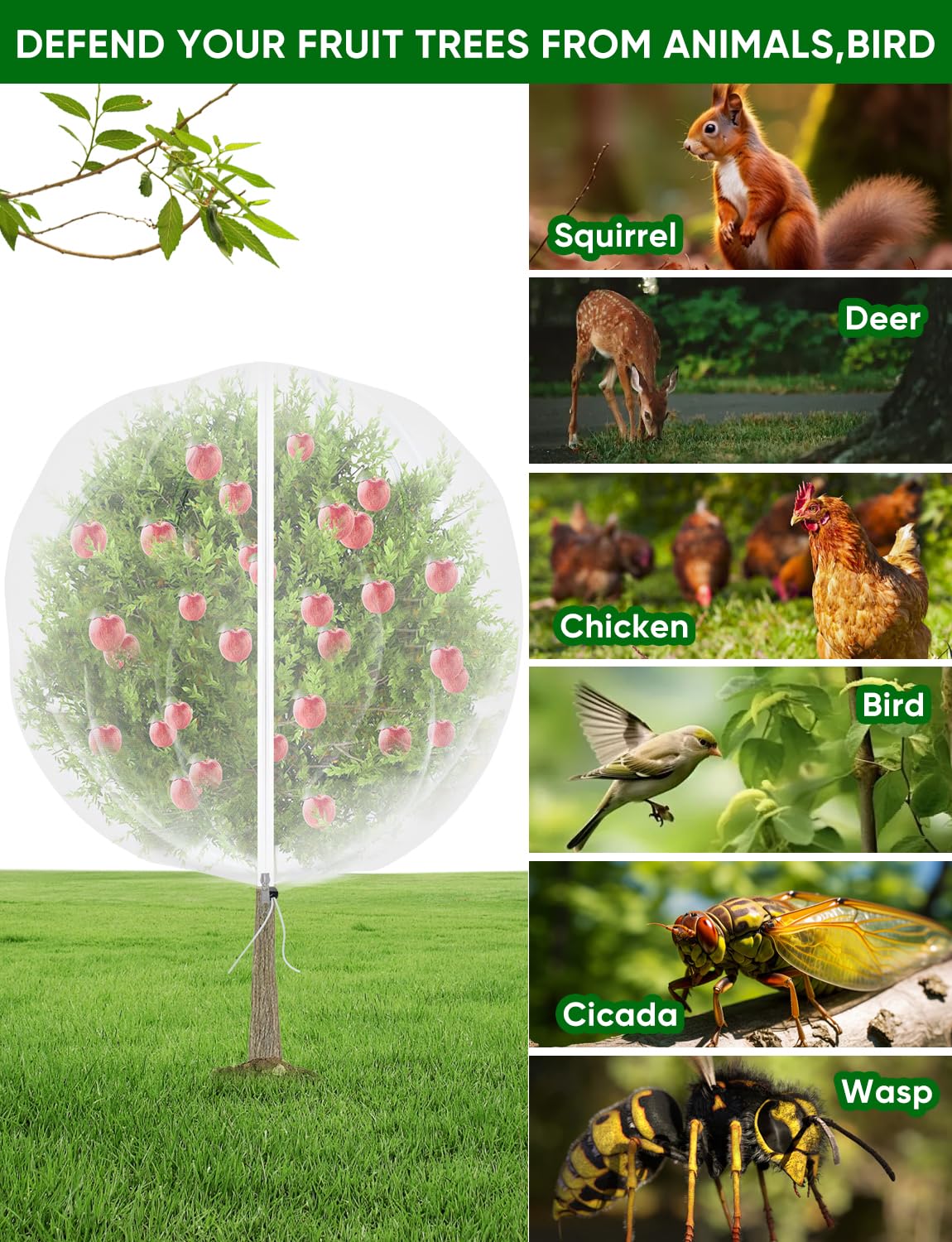HKZ berry bush netting shield prevents birds while preserving fruit quality
