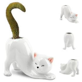 HKZTUY ceramic cat planter on a white desk adds playful indoor charm.