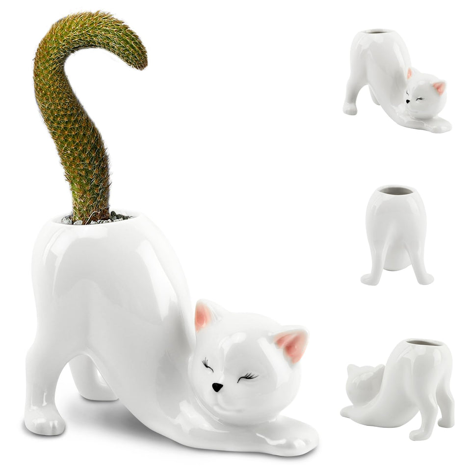 HKZTUY ceramic cat planter on a white desk adds playful indoor charm.