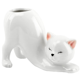 Gift-ready HKZTUY ceramic cat planter packaging for plant lovers.