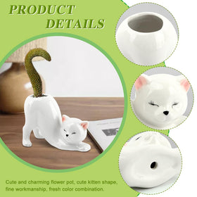 Compact HKZTUY cat planter fits desks and shelves with ease.