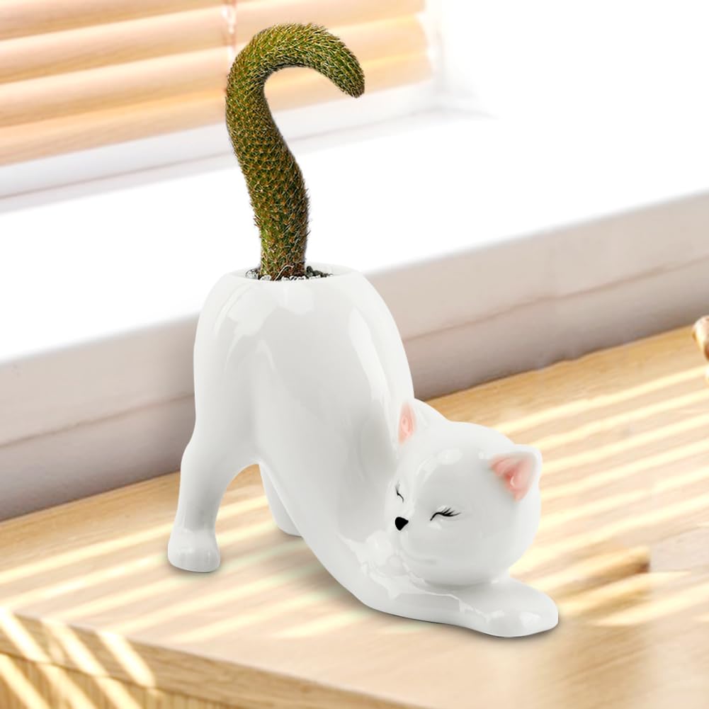 HKZTUY cat planter on a sunny windowsill showcases light-friendly design.