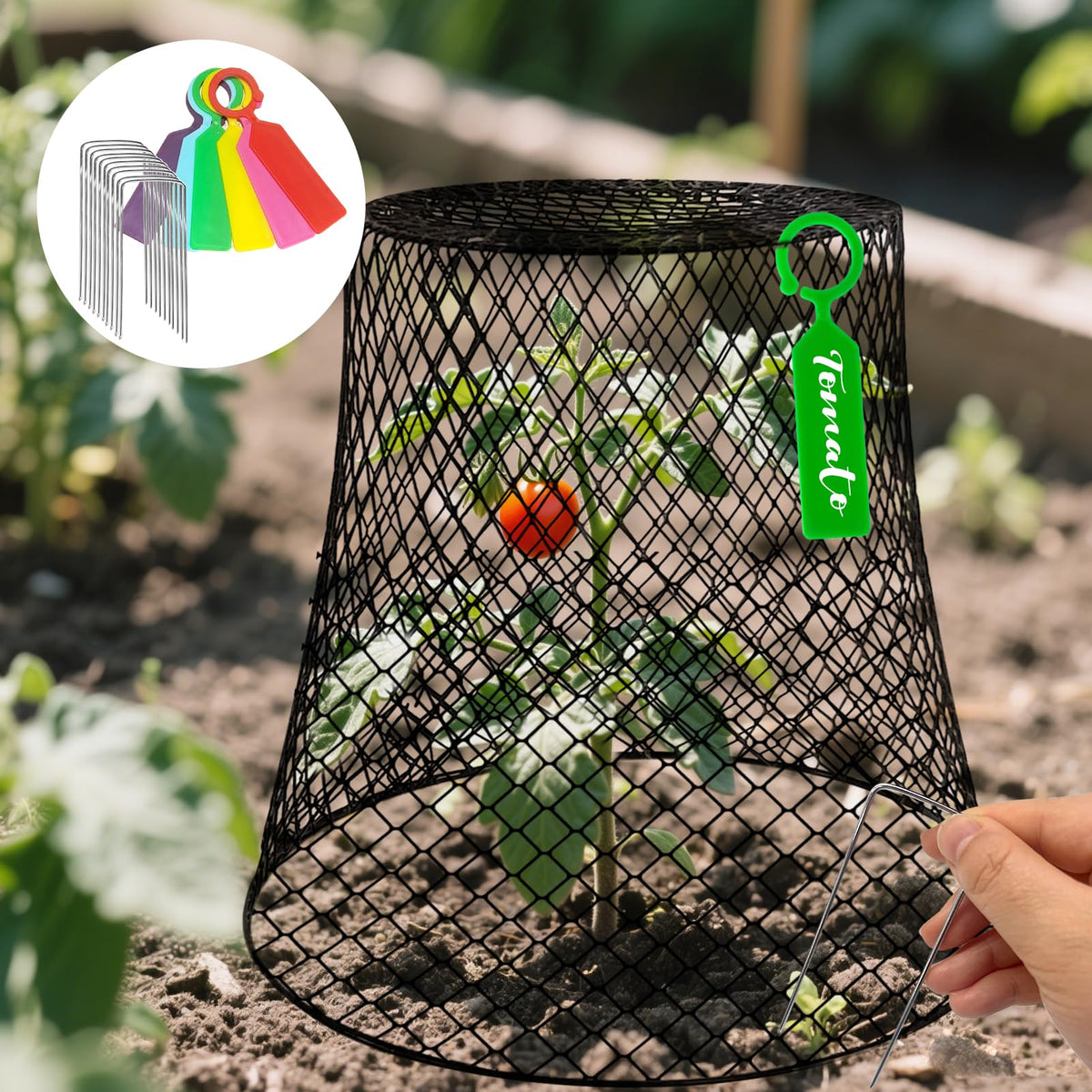 Hlimior 360-degree protection cloche keeps seedlings safe from rabbits and birds