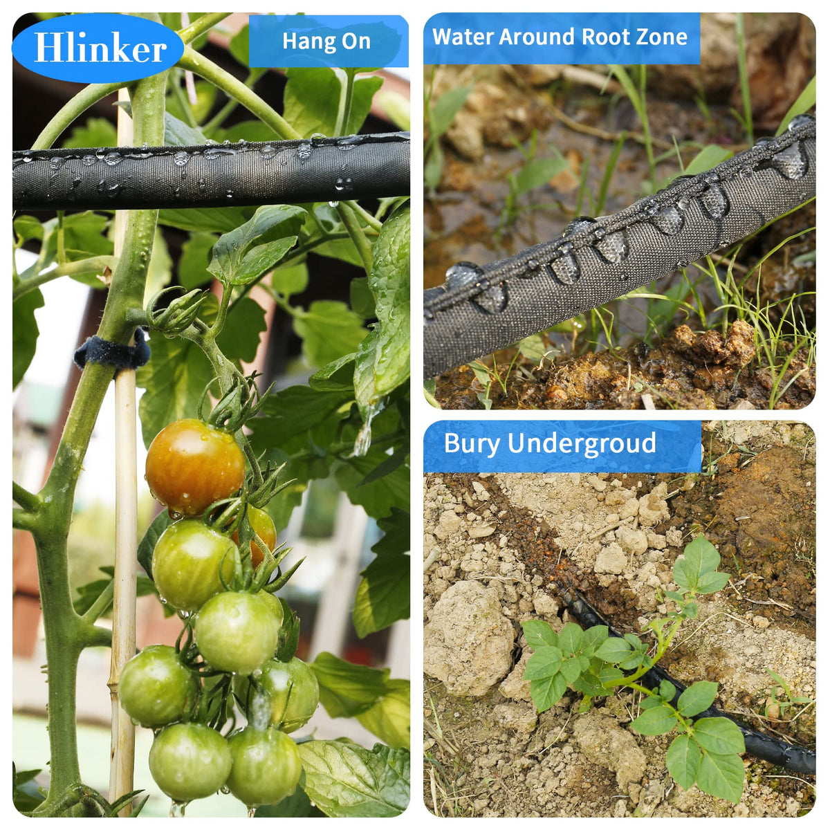 Hlinker base watering for vegetables promotes root hydration