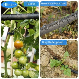 Hlinker base watering for vegetables promotes root hydration