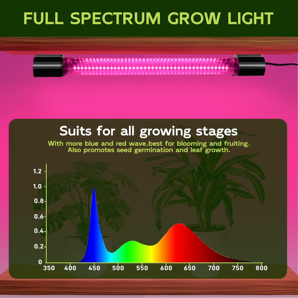 Hlite auto timer ensures consistent daily lighting for plants.