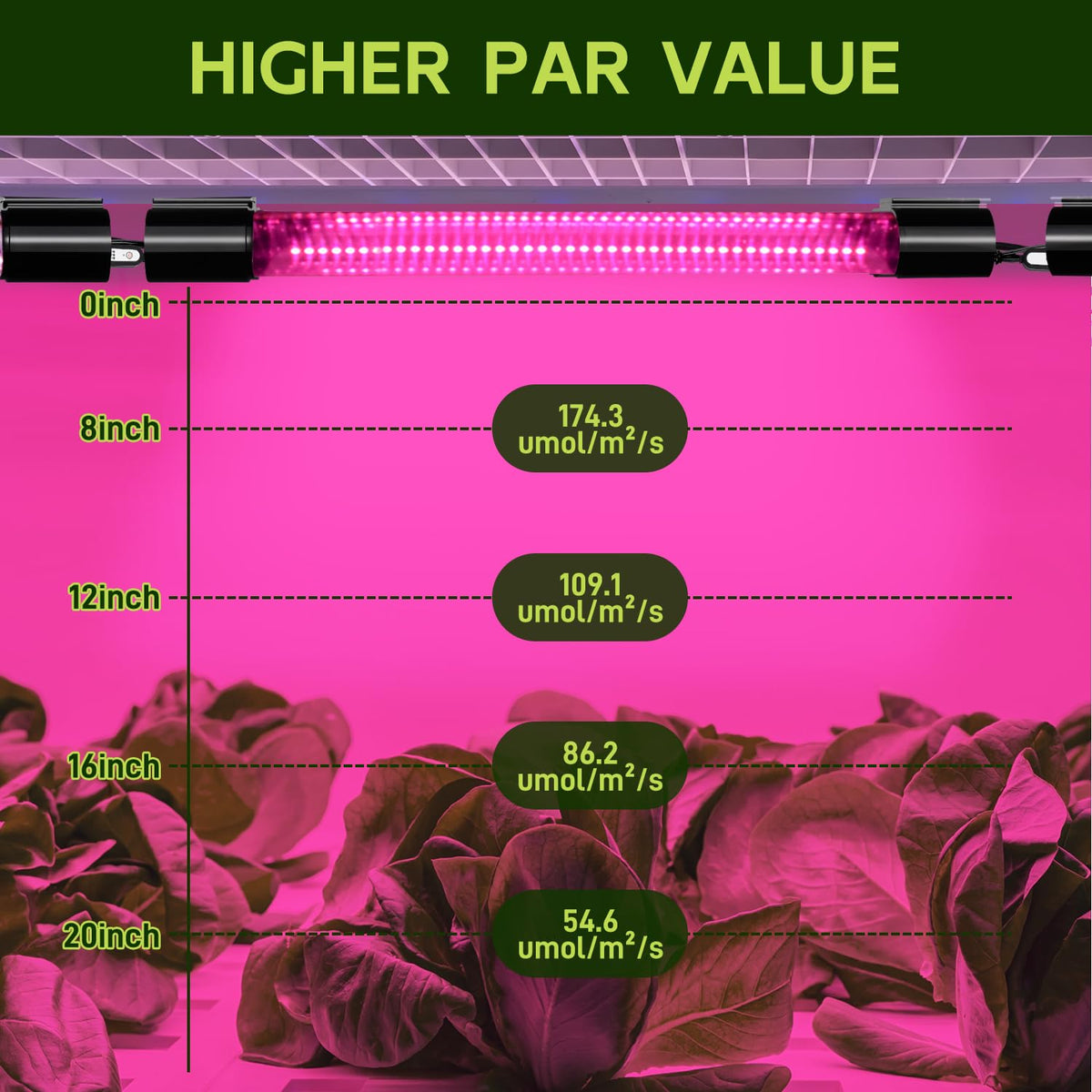 Hlite full-spectrum LED grow light supports seedling to flowering stages.