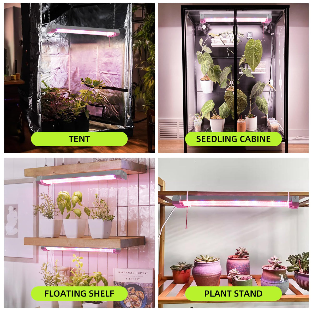 Hlite indoor garden setup in a compact grow tent