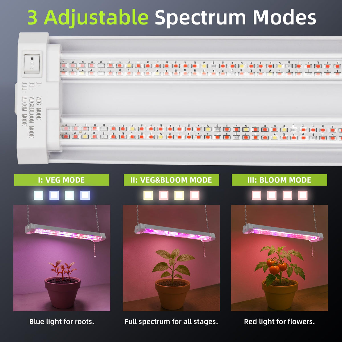 Hlite on/off switch accessible control for easy use