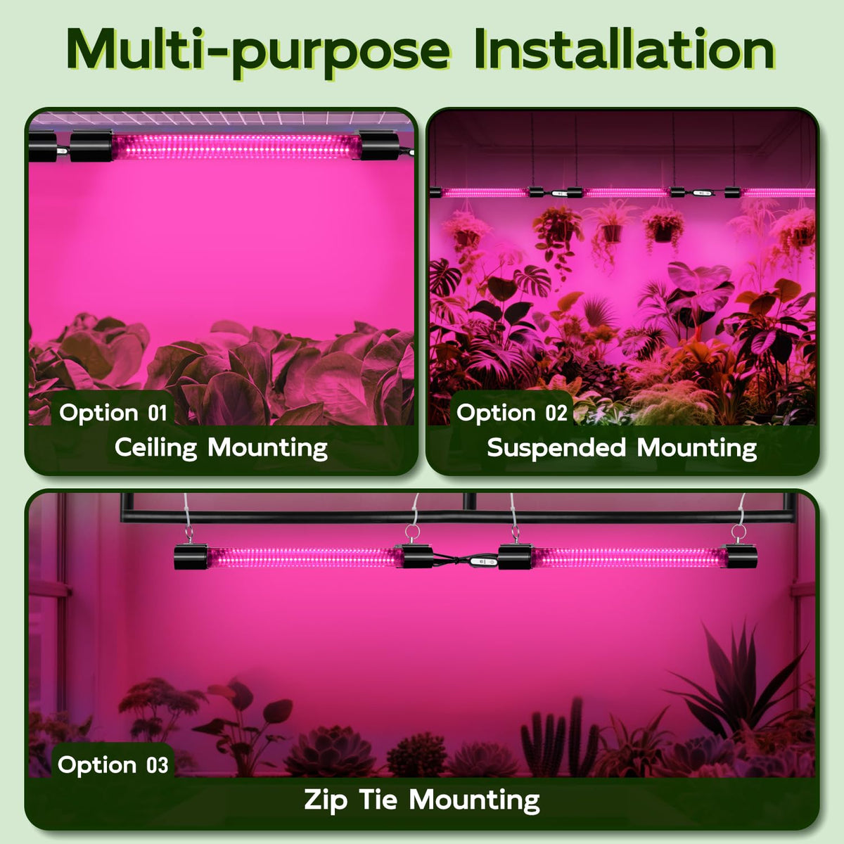 Hlite seedling to flowering lighting supports growth through stages.