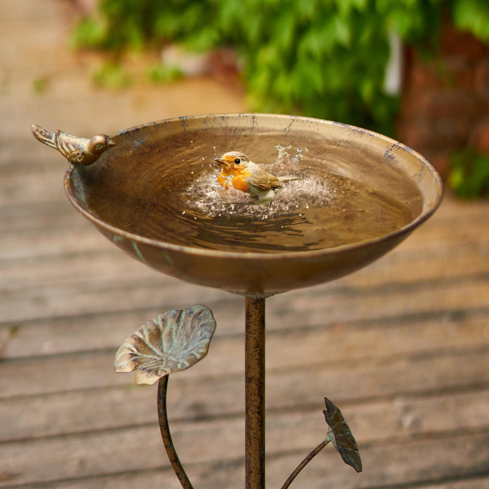 HLQMFHT Diam cast-iron pedestal bird bath with stable base for outdoor gardens.