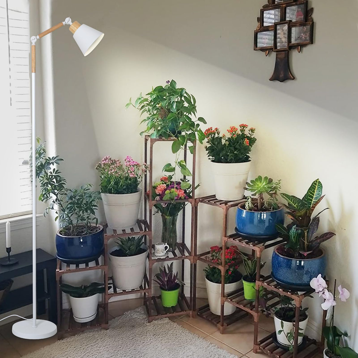 HMVPL setup supports seed to flowering growth stages indoors
