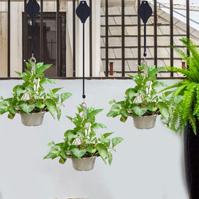 Hmxpls indoor/outdoor use with hanging garden baskets.