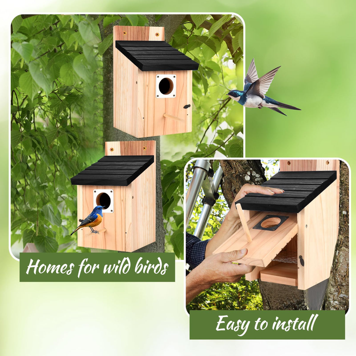 hoamayya proper ventilation and drainage improve nesting conditions